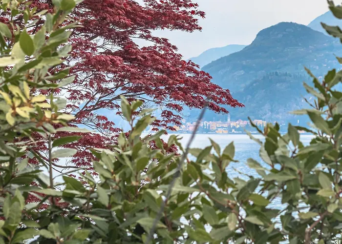 Pescallo Garden Retreat 公寓