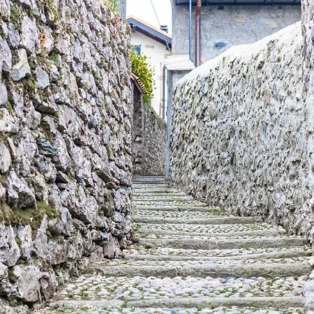 Pescallo Garden Retreat Apartament