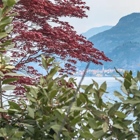 Pescallo Garden Retreat 公寓